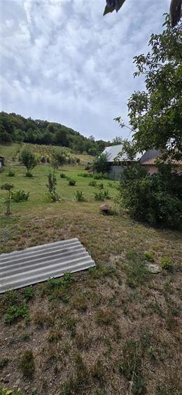 Teren Construcții intravilan de 10537 mp, în Filipești (Bogdănești)