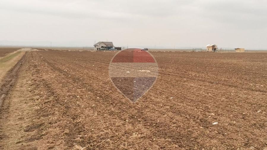 Teren agricol intravilan de 52410 mp, în Tărlungeni