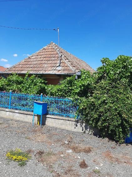 Casă cu Teren 15 Mp în Central
