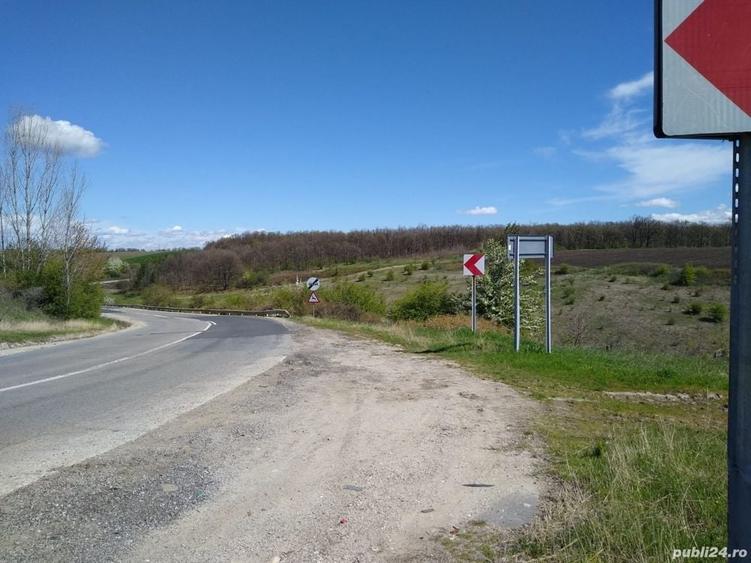 Teren de 17800 mp, în Mischii