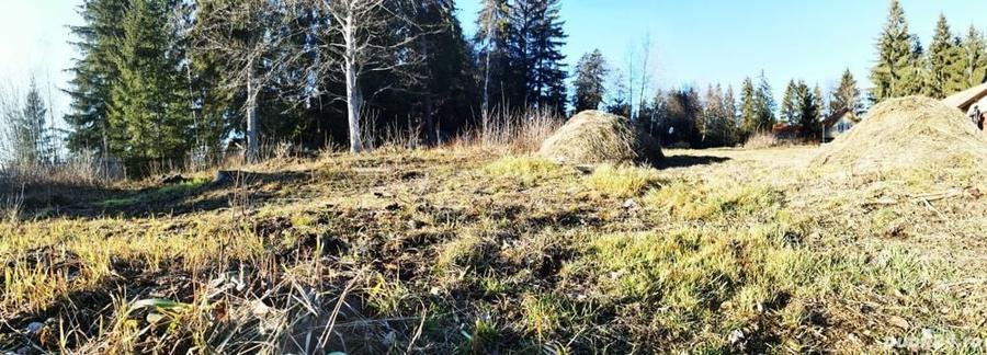 Teren de 1100 mp, în Izvoru Mureșului