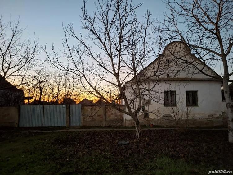 Casă cu Teren 2156 Mp în Dudeștii Vechi