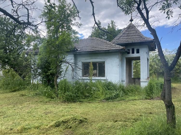 Casă cu 2 camere în Drăgoești