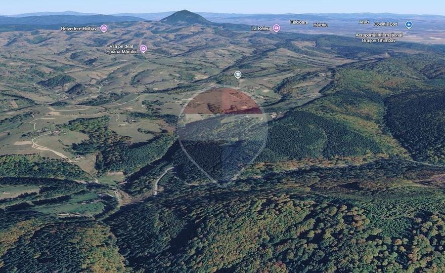 Teren extravilan Poiana Marului 1092mp, inconjurat de padure - 5