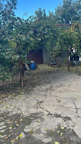 Teren de 5000 mp, în Central