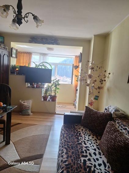 Apartament cu 2 camere decomandat în Broșteni