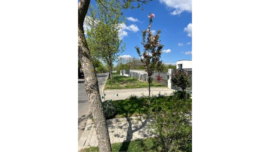 Teren Construcții intravilan de 2000 mp, în Dămăroaia