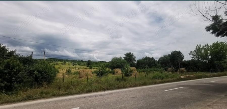 Teren de 18100 mp, în Domnești