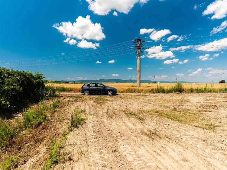 Teren Construcții intravilan de 3975 mp, în Hălchiu