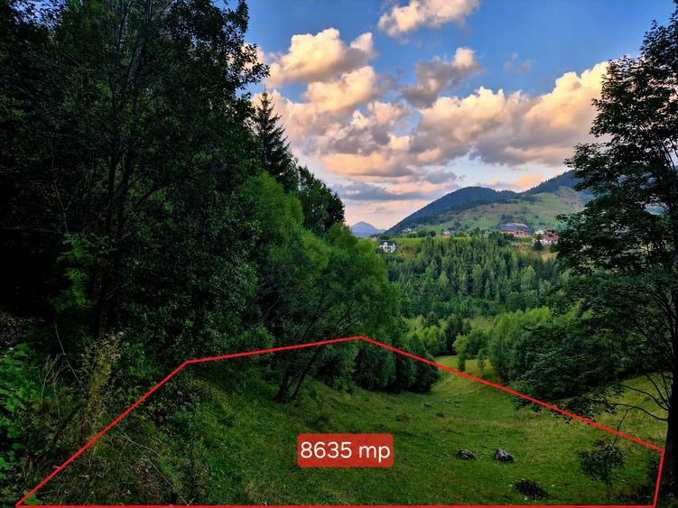 Teren agricol extravilan de 8635 mp, în Peștera