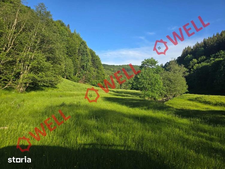 Teren de 57000 mp, în Vama Buzăului