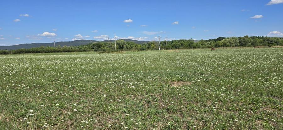 Teren Construcții intravilan de 23020 mp, în Răscruci