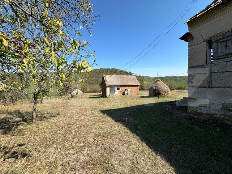 Teren Construcții intravilan de 14000 mp, în Vințu de Jos