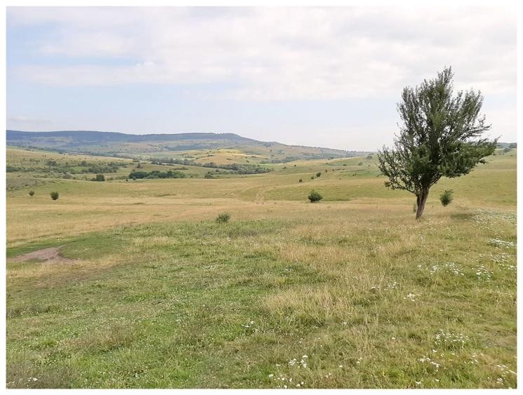 Teren agricol extravilan de 2500000 mp, în Șercaia
