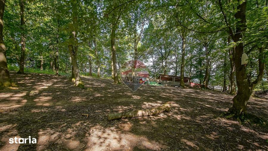 Casă cu 7 camere cu Teren 16873 Mp în Dobârlău