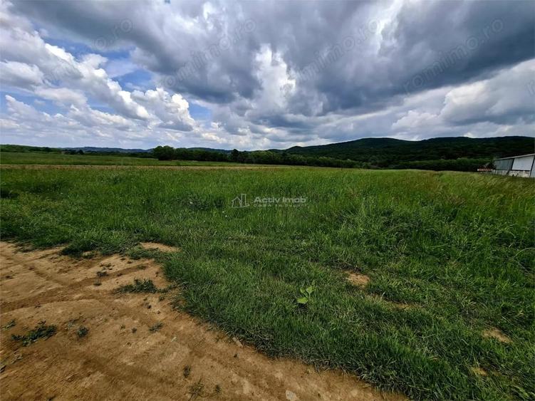 Teren de 500 mp, în Periferie