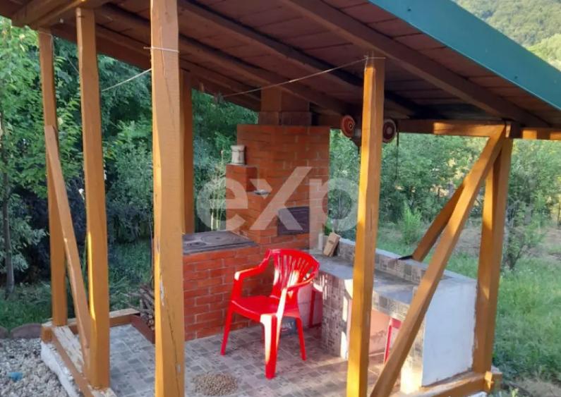 Casa la ?ara complet mobilata, 5.500 mp teren Topli? - 7