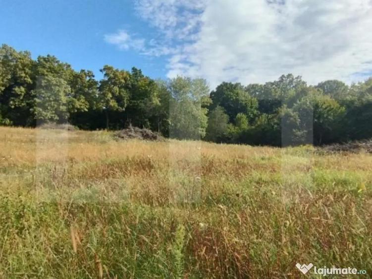 Teren intravilan, 1150 mp, Drumul Sf. Ion, Faget - 1