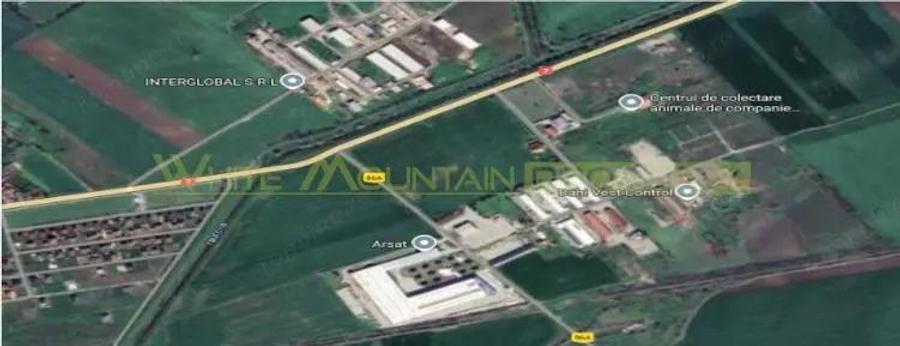 Pecica, jud Arad, 6ha teren de vanzare - 2