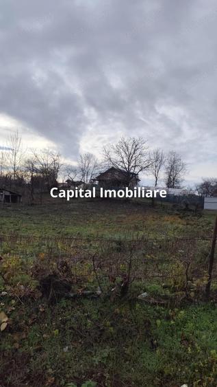 Teren Intravilan Baicoi 1061 mp - 1