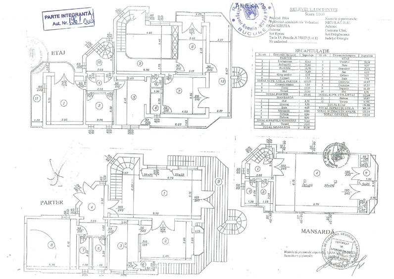 Vila deosebita Iancu Nicolae - British School - 6