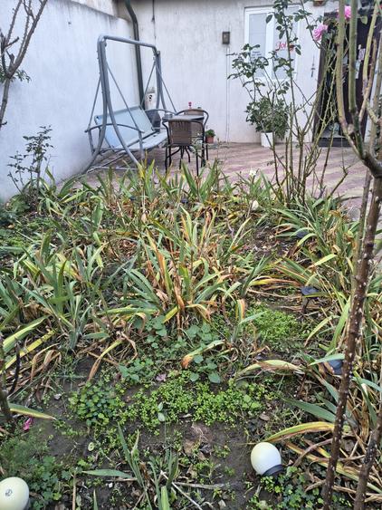 ULTRCENTRAL CASA CU 3 CAMERE ST 130 MP PRET 130000 EURO - 7