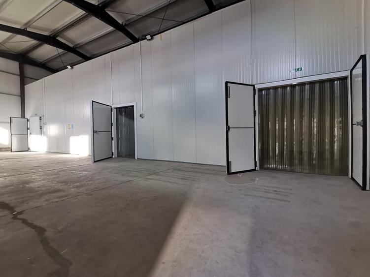 Inchiriere Hala frigorifica Zona Calea Baciului - 2