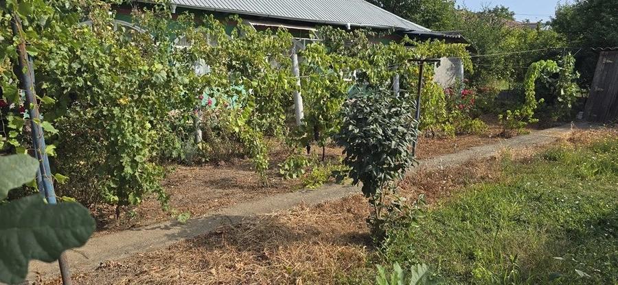 Casă cu Teren 2634 Mp în Chirnogeni