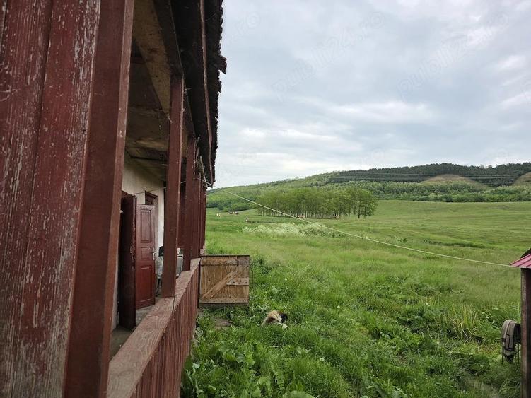 Vand casa Saulia (Groapa Radai), 5000m patrati - 4