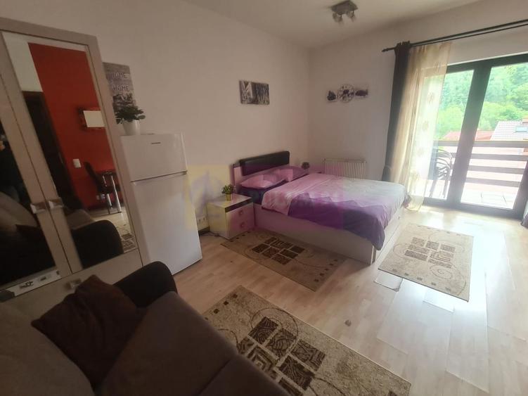 Garsoniera de inchiriat in Sinaia - 1