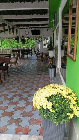 Vand pensiune si hotel la DN7/E81 Pitesti- Rm Valcea, teren 4 ha, 25euro/mp - 13