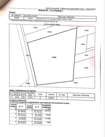 Teren intravilan 9313 mp in comuna 1 Decembrie - Ilfov - 4