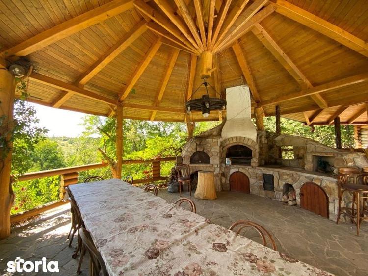 Domeniu exclusivist 17.000 mp | Vila luxury cu piscina & SPA Carbu - 9