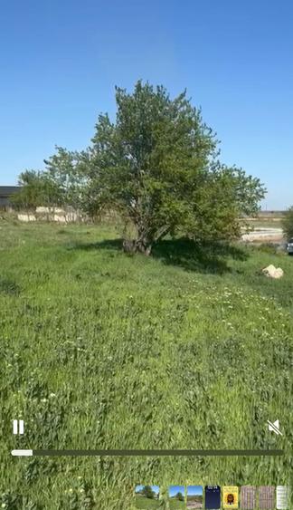 Teren intravilan Mariuta cu vedere la lac 5000 mp, 42 km de Bucuresti - 1