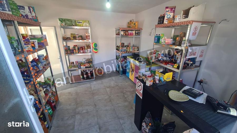 Casa + spatiu comercial + lac de peste, de vanzare ( Vernesti/Arges ) - 13