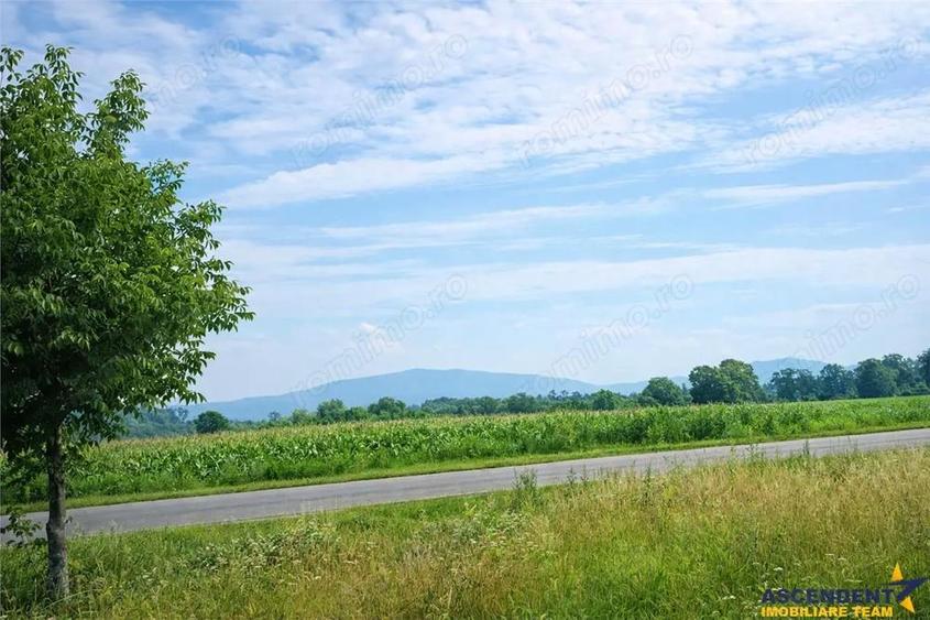 Lot pentru casa, 800 mp intravilan, Bod, 15 min Brasov - 7