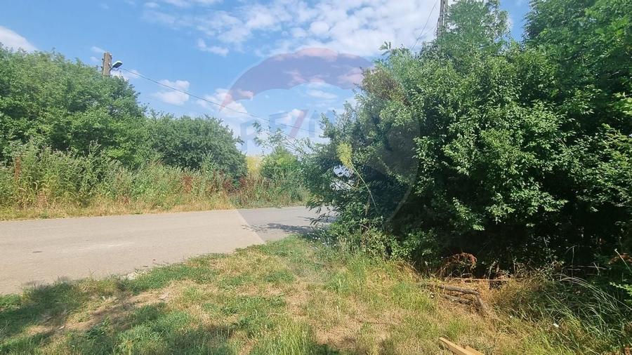 Vanzare Teren 1,300mp Balotesti / Strada Tarina Veche/Rezidential - 3