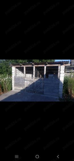 Vand cea mai IEFTINA cas din sat,2 camere - 13