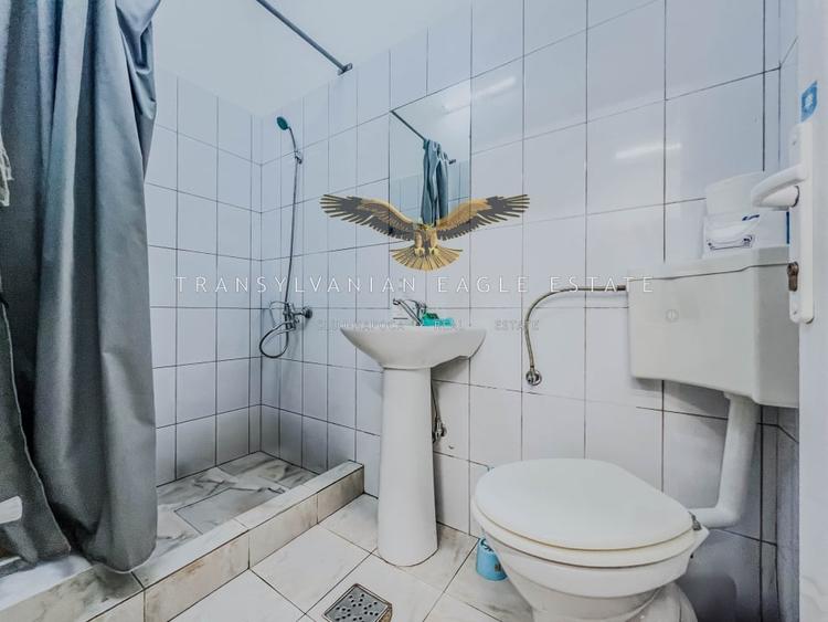 Oportunitate de inchiriere a unui spatiu industrial si de productie - 7