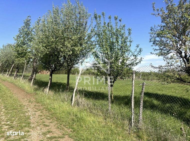 Teren intravilan | 700 mp | ZONA Cetate | Alba Iulia | CONSTRUIBIL - 4