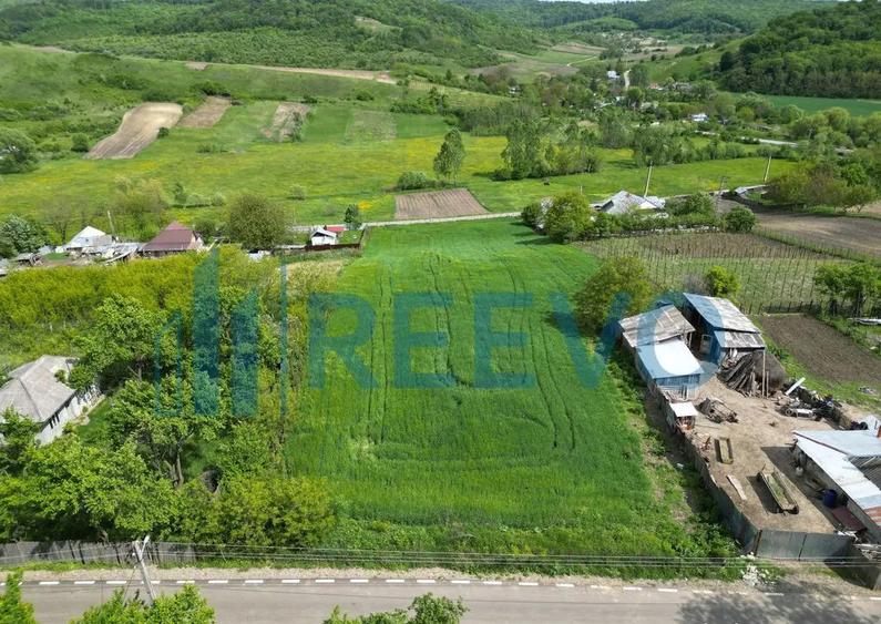 Teren de vanzare, Sat Valea Mare, Com. Ro?iori, Bacau - 5