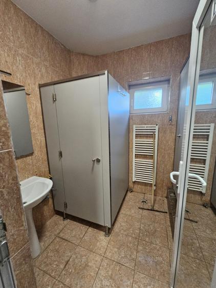 Proprietate speciala Dumbravita - casa individuala !! - 17