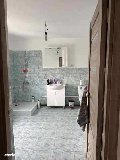 Proprietate cu 2 case in Gura Vaii la doar 10 km de Dr. Tr. Severin - 6