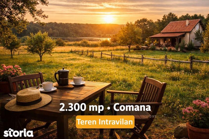Teren intravilan Comana 2300 mp Front 12,5 m Comision 0% - 1