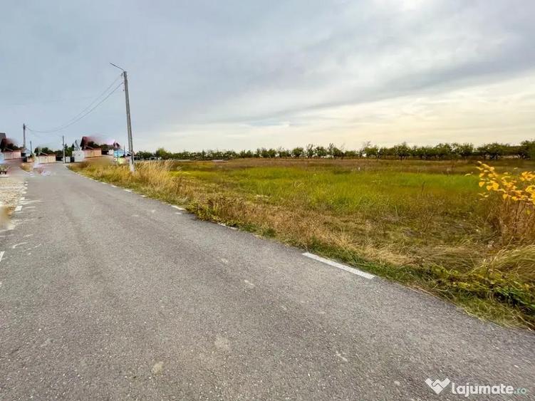 Teren Intravilan Albota Arges - 1