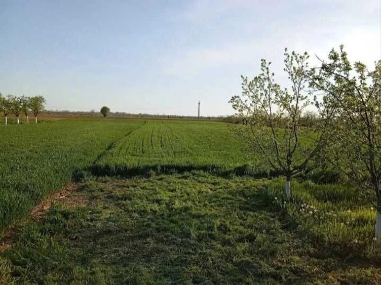 Casa de vanzare cu teren in Leordeni -Moara Mocanului- Arges - 6