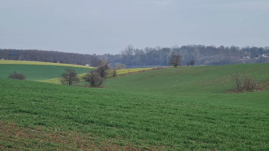 Lot 1000 mp in umbra padurii cu view la lacul academiei din Caciulati - 6