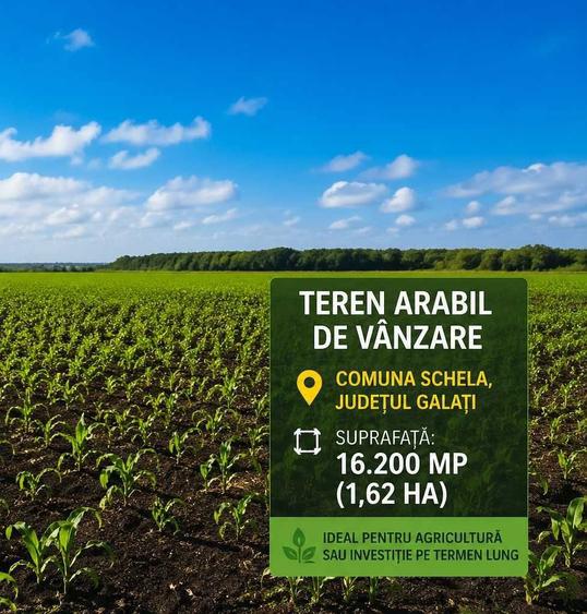 Teren arabil de vanzare Schela, Galati 16.200 mp TERENUL NU ESTE ARENDAT - 1