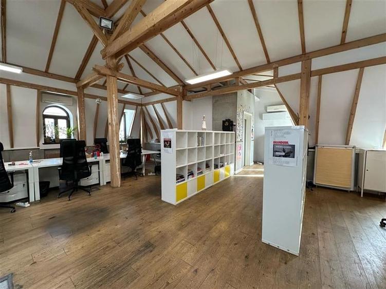 Spatii pentru birouri in vila - 233 mp - aproape km 0 - 3