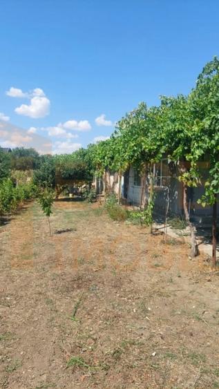 Casa situata in zona Cobadin, COMISION 0% - 7